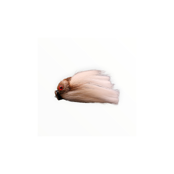 HEAD OF MOUSE