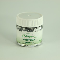 PAILLETTES GEANTE 3MM